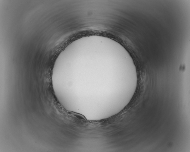 X0000112541110200909141305