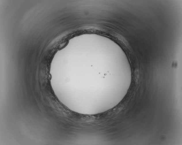 X0000112541111200909141305
