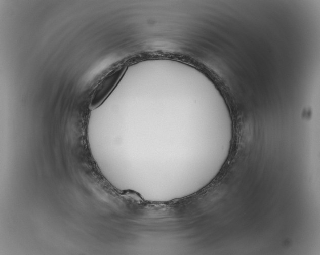 X0000112541112200909141305