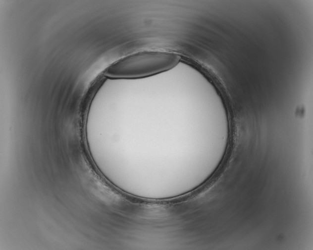 X0000112541114200909141305