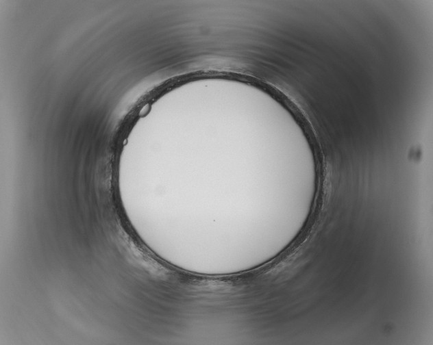 X0000112541115200909141305