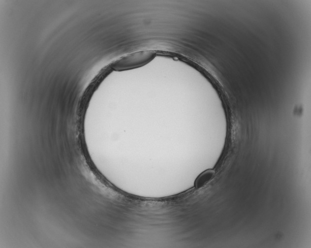 X0000112541116200909141305