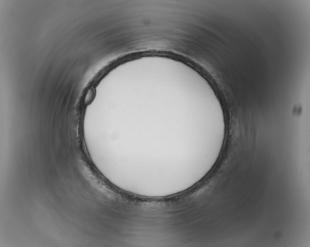 X0000112541118200909141305