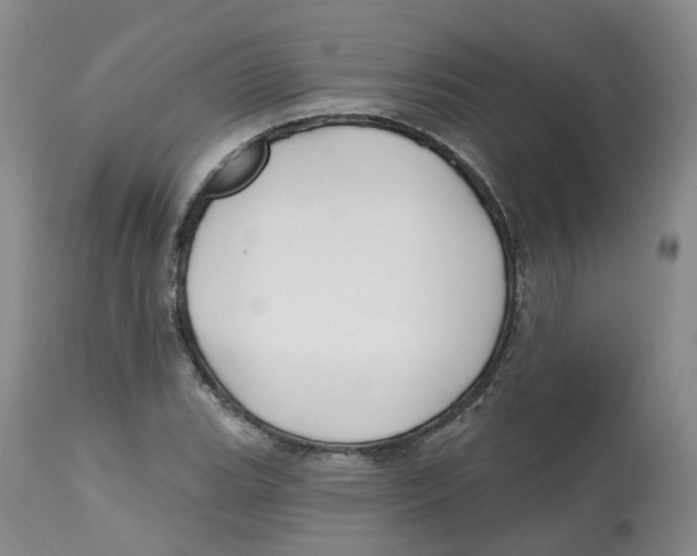 X0000112541119200909141305