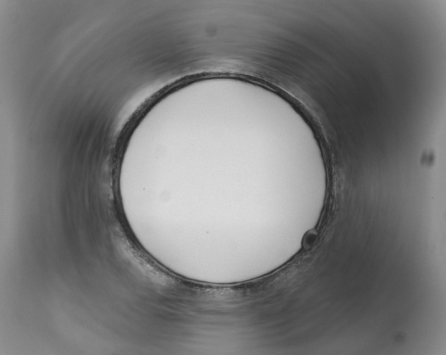 X0000112541120200909141305