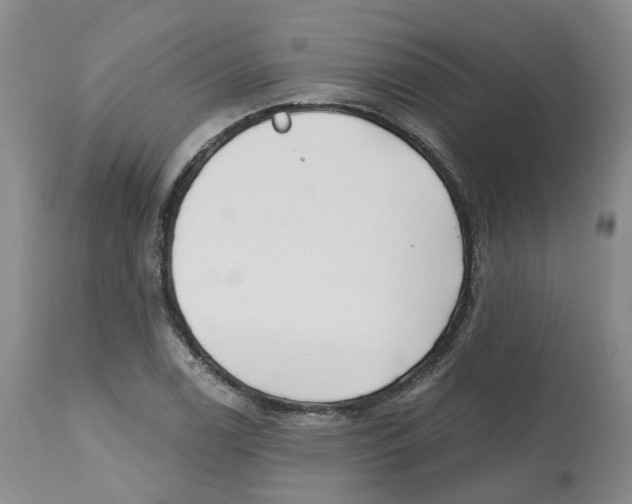 X0000112541122200909141305