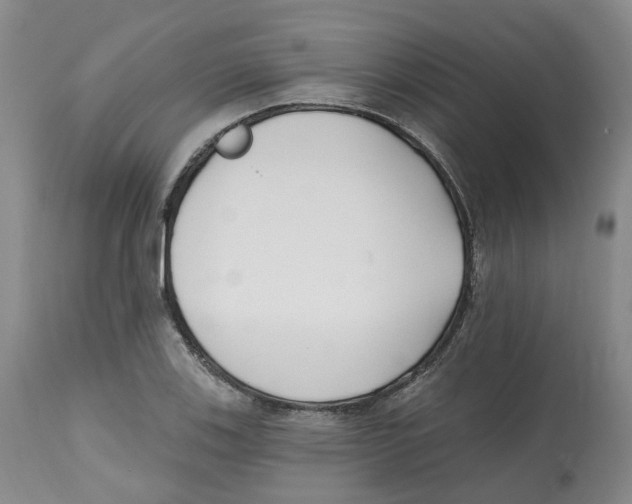 X0000112541123200909141305