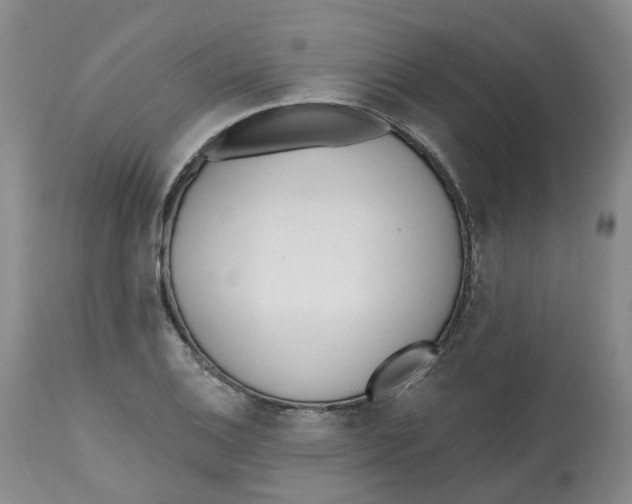 X0000112541124200909141305