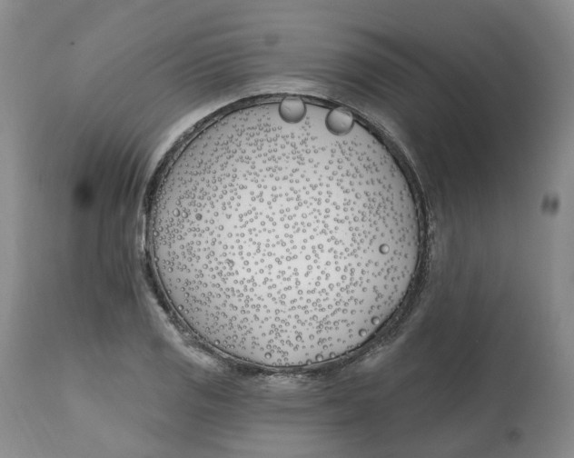 X0000112541125200909141305