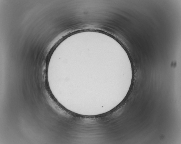 X0000112541126200909141305