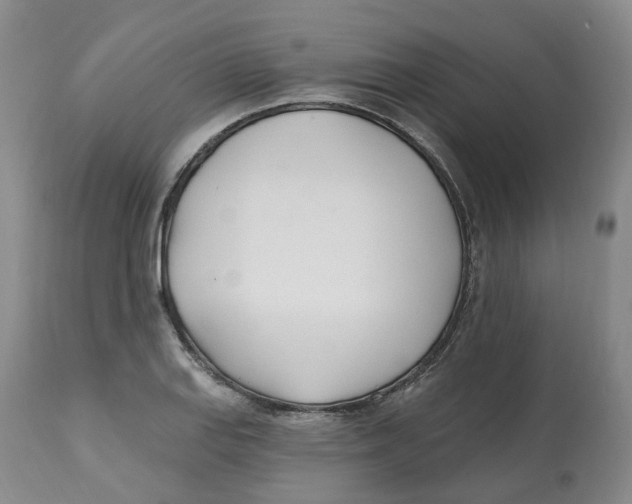 X0000112541127200909141305