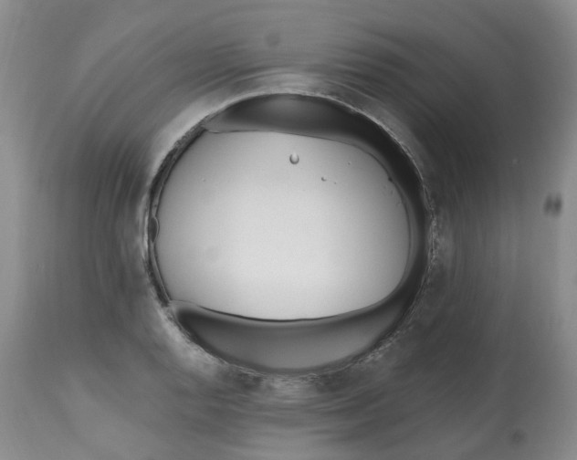 X0000112541128200909141306