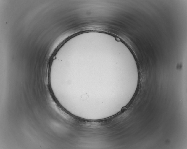 X0000112541131200909141306