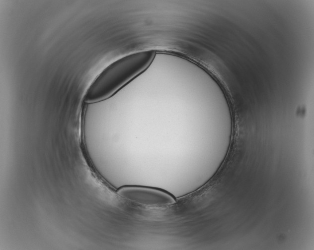 X0000112541132200909141306