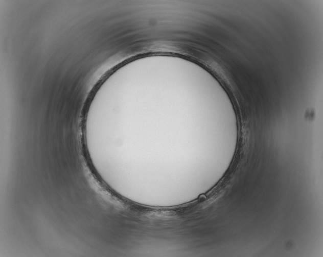 X0000112541133200909141306