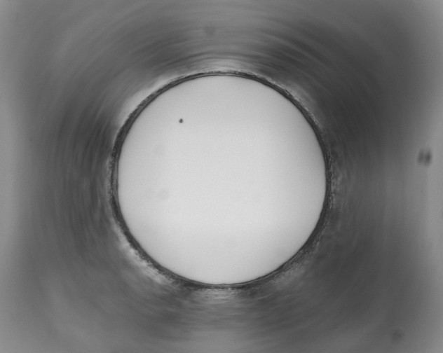 X0000112541134200909141306