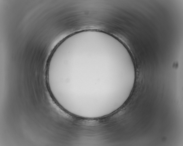 X0000112541135200909141306
