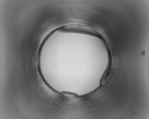 X0000112541136200909141306