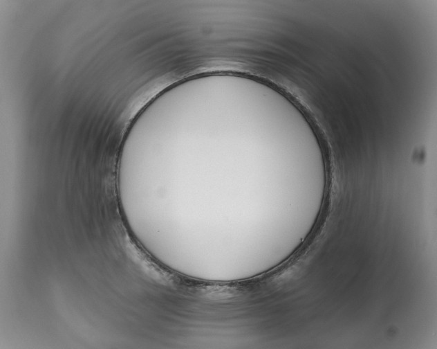 X0000112541137200909141306