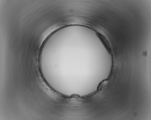 X0000112541138200909141306