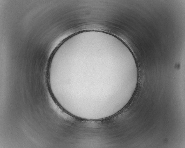 X0000112541139200909141306