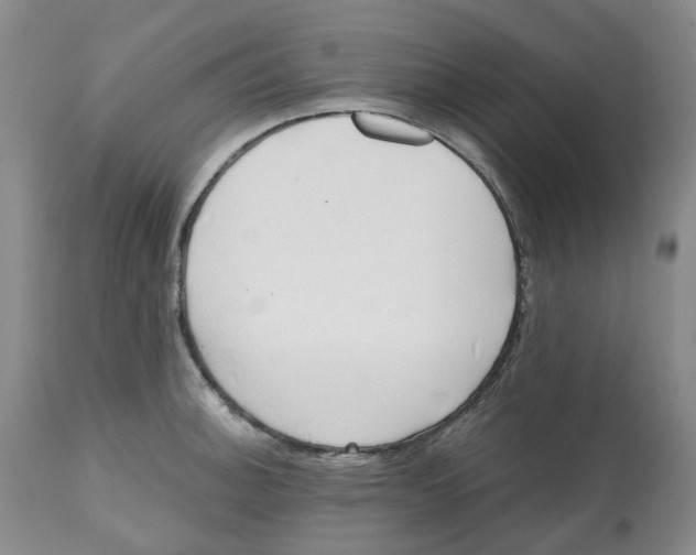 X0000112541140200909141306