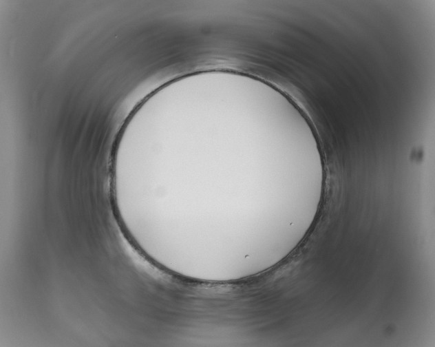 X0000112541143200909141306
