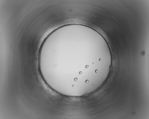 X0000112541144200909141306