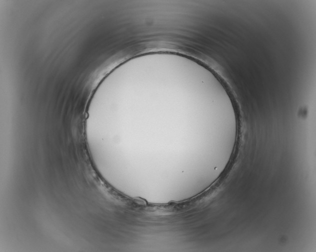 X0000112541145200909141306