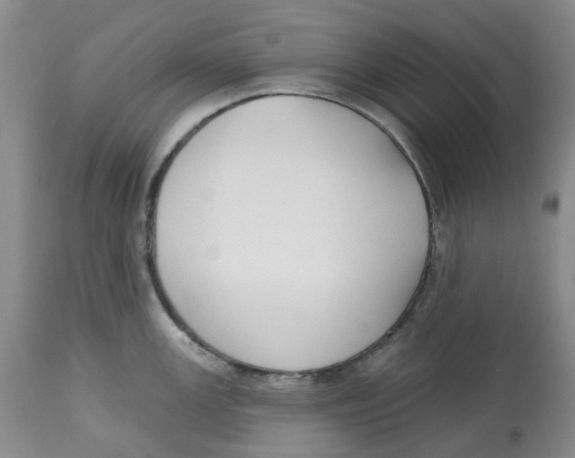 X0000112541147200909141306
