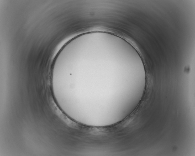 X0000112541148200909141306