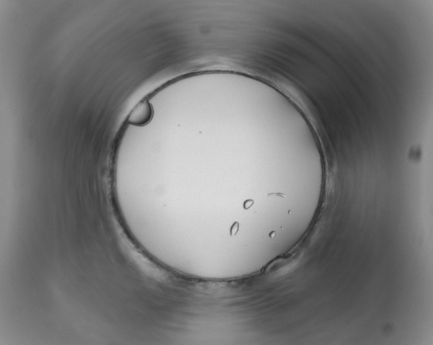 X0000112541149200909141306