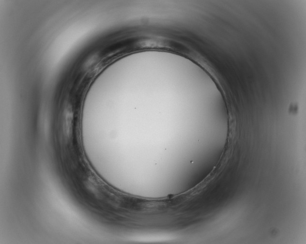 X0000112541151200909141306