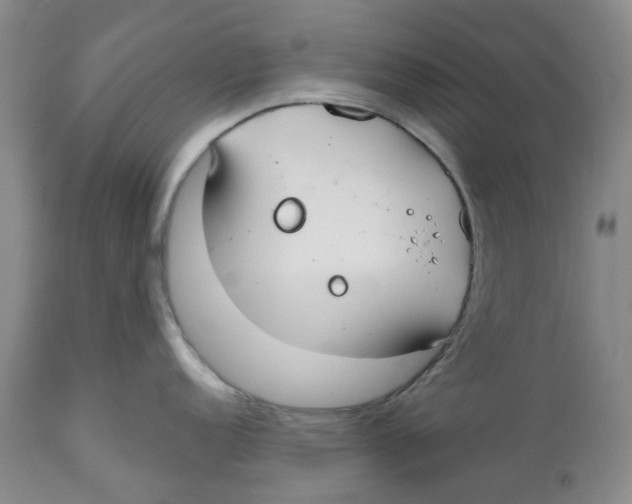 X0000112541152200909141306