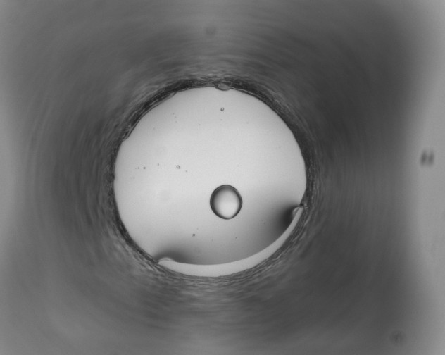 X0000112541153200909141305