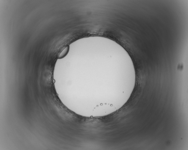 X0000112541154200909141305