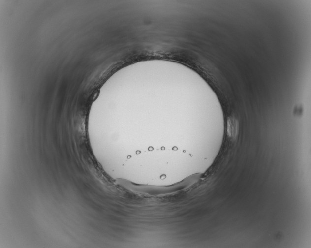 X0000112541155200909141305