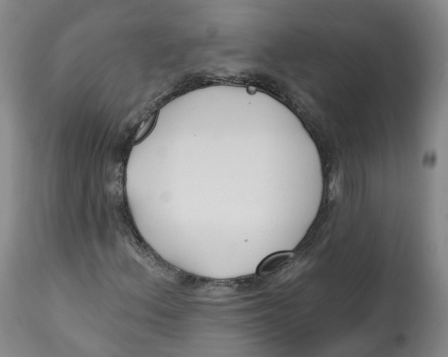X0000112541156200909141305