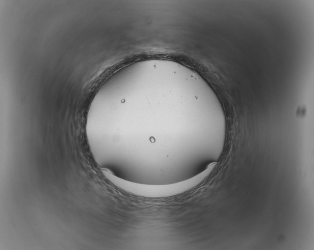 X0000112541157200909141305