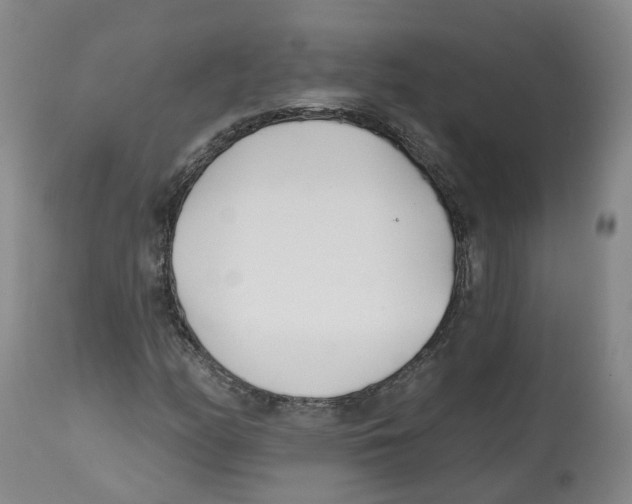 X0000112541158200909141305