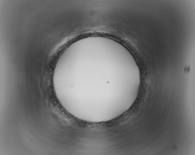X0000112541159200909141305