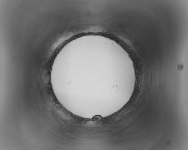 X0000112541160200909141305