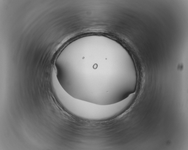 X0000112541162200909141305
