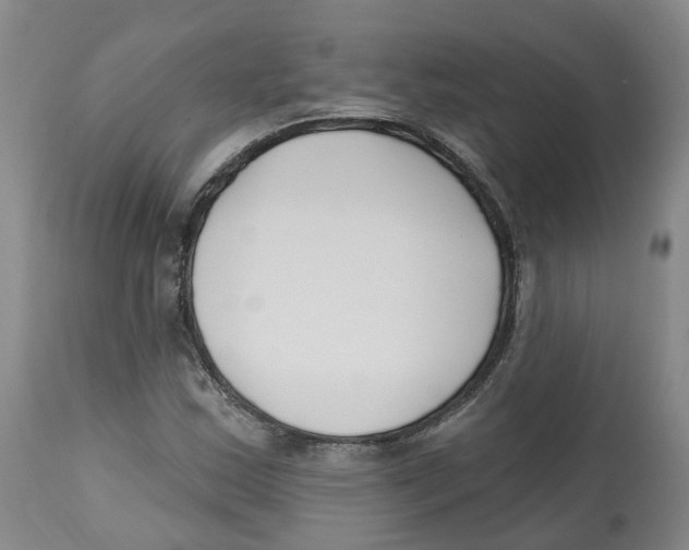 X0000112541163200909141305