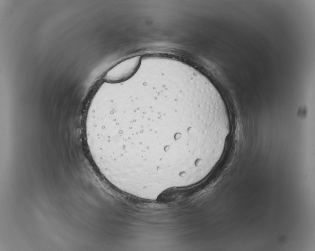X0000112541164200909141305