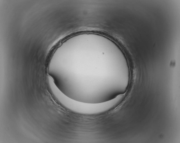 X0000112541165200909141305