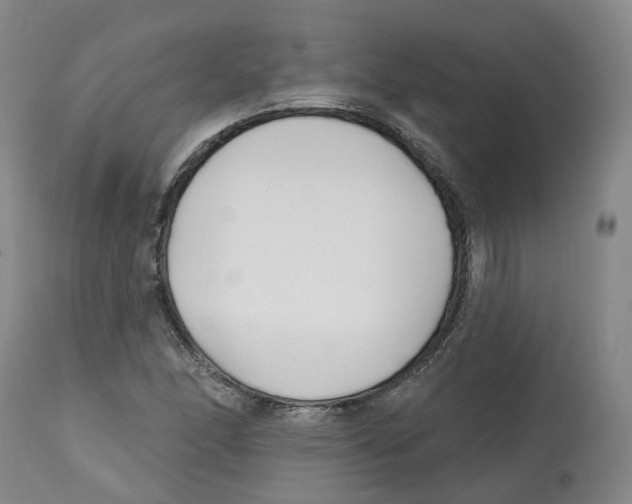 X0000112541166200909141305