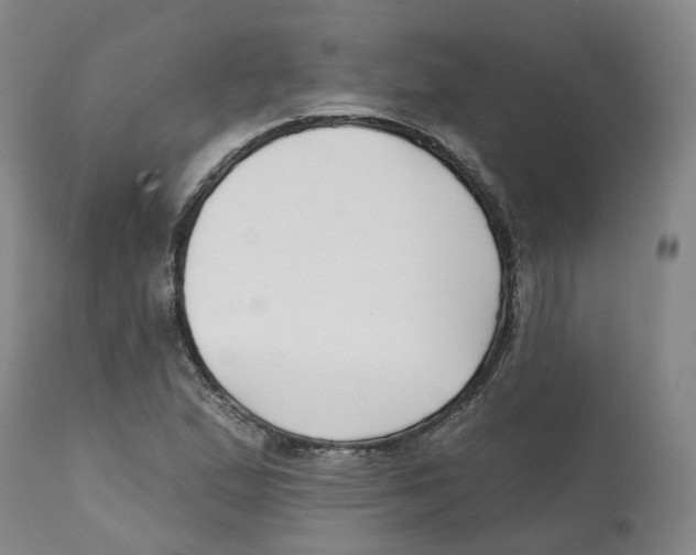 X0000112541167200909141305