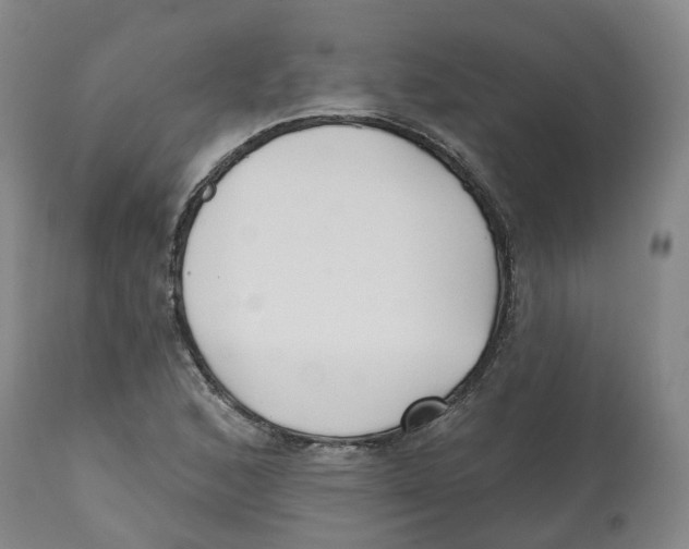 X0000112541168200909141305