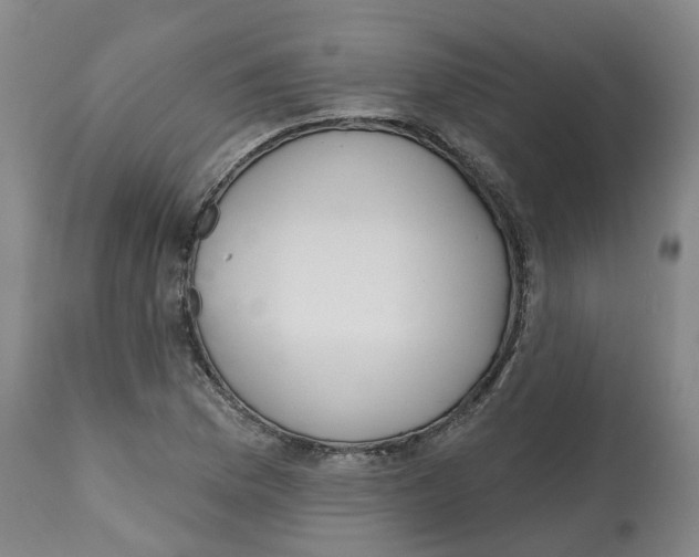 X0000112541169200909141305